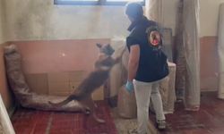 Kastamonu'da 19 ayrı noktada eş zamanlı narkotik operasyonu: 15 gözaltı