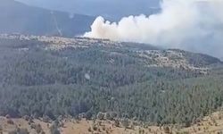 Kastamonu'da çıkan orman yangını ekiplerin hızlı müdahalesiyle söndürüldü