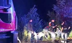 Kastamonu'da trafik kazası: 1 yaralı