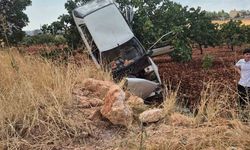 Kaza yapan otomobil fıstık ağacında asılı kaldı: 2 yaralı