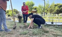 Konut dokunulmazlığını ihlal etti, adliye bahçesine 10 fidan dikti