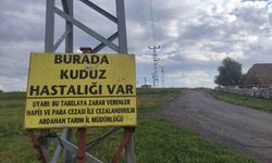 Kuduz nedeniyle mahalleye giriş çıkışlar yasaklandı