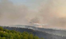 Kula'daki orman yangınına havadan ve karadan müdahale sürüyor