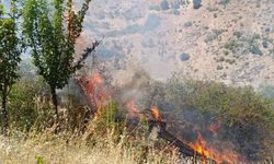 Malatya'da meyve bahçesi ve üzüm bağlarında yangın
