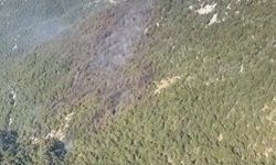 Manavgat'taki orman yangını kontrol altına alındı