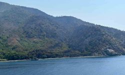 Marmaris'te yangın bölgesinde yeniden alevlenmelere karşı yoğun mesai