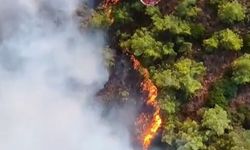 Marmaris'teki yangında hava müdahalesi başladı
