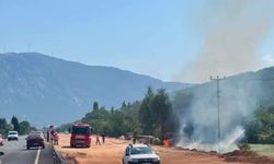 Menteşe'de otluk alanda çıkan yangın söndürüldü