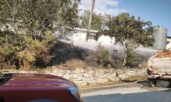 Mudurnu'da korkutan yangın: Kümeslere sıçramadan söndürüldü