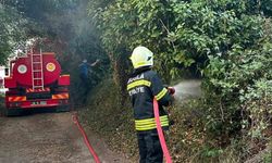 Muğla'da korkutan ot yangını: 30 metrekare alan zarar gördü