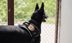 Narkotik operasyonlarının kahramanı narkotik köpeği emekli oldu