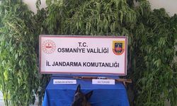 Osmaniye'de jandarma bir haftada 128 şüpheli yakaladı