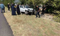 Osmaniye'de otomobil ağaca çarptı: 1 yaralı