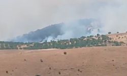Pütürge'de orman ve örtü yangını