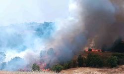 Pütürge'de orman ve örtü yangınına havadan müdahale