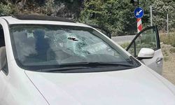 Rize'de otomobilin üzerine kaya düştü: 1 yaralı