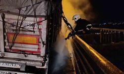 Şanlıurfa'da sebze yüklü tır alev alev yandı