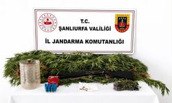 Şanlıurfa'da uyuşturucu operasyonunda 1 şüpheli yakalandı