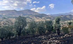 Siirt'te 5 ayrı noktada yangın alarmı: 4 bölgede söndürüldü, Çamtaşı'nda müdahale sürüyor