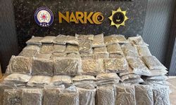 Silivri'de tır'da 376 kilo uyuşturucu ele geçirildi
