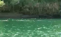 Şırnak'ta 4 kadının bindiği bot devrildi: 1 ölü