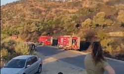 Söke'deki orman yangını kontrol altına alındı