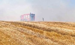 Tekirdağ'da anız yangını