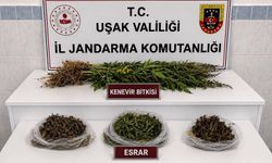 Uşak'ta kaçakçılık operasyonu