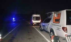 Yabani hayvana çarpan hafif ticari araç şarampole uçtu