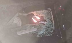 Yola çıkan ineğe 3 araç çarptı: 6 kişi yaralandı