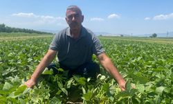 Bursa’da çiftçiye fiyat garantili üretim modeli