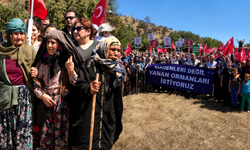 Köylülerden maden ocağı tepkisi: "Madenleri değil, yanan ormanlarımızı geri istiyoruz"