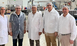 Bursa kestane şekeri gastronomideki yerini güçlendiriyor