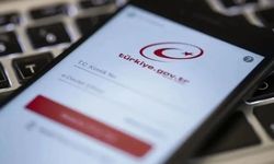 e-Devlet'te erişime açıldı: Unutulan hesap ve para için yeni hizmet