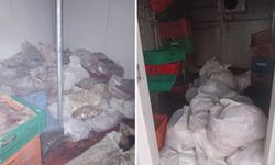 Kötü kokunun kaynağı ortaya çıktı: 400 kilo bozuk et ele geçirildi