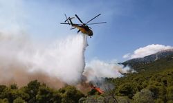 Yunanistan'da iki yangın söndürme helikopteri havada çarpıştı
