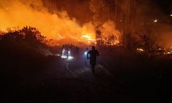 Orman yangınlarının bilançosu: 11 kişi tutuklandı