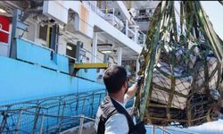 Portekiz'den yola çıkan gemide 5 ton kokain yakalandı