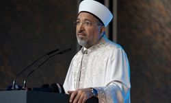 Diyanet 'Lüks gezi değil resmi görev' dedi
