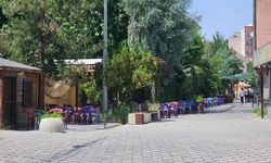 Sıcaktan klimalar bile çalışmıyor! O ilimiz 49 dereceyi gördü