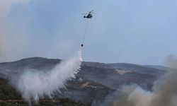 Orman yangınlarının bilançosu: Akın Gürlek'ten açıklama