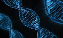 DNA testi ortaya çıkardı: Çocukluk arkadaşları biyolojik kardeş çıktı