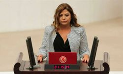 Zeynep Altıok Akatlı'dan CHP'ye 'yapay zekâ' ve 'vitrin' eleştirisi