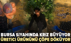Dünyanın hayran olduğu Bursa siyah inciri sıkıntıda: Üretici ürününü çöpe dökmeye başladı