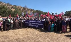 Köylülerden maden ocağı tepkisi: "Madenleri değil, yanan ormanlarımızı geri istiyoruz"