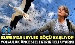 Leyleklerin göç yolculuğu başlıyor: Fadıllı’da veda uçuşları