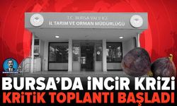 Siyah incir krizi için kritik zirve! Bursa’da tüm gözler toplantıda