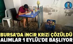 Bursa’da incir krizinde çözüm adımı: Alımlar 1 Eylül’de yeniden başlıyor