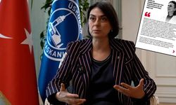 Başkanvekili seçimi öncesi Dedetaş’tan mektup