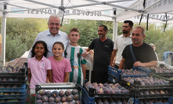 Bursa’nın siyah inciri festivalde vitrine çıktı